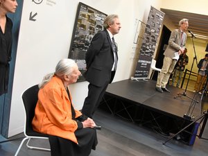 Musée Soulages, l'heure des grands changements approche : un nouveau président et un nouveau direction attendus