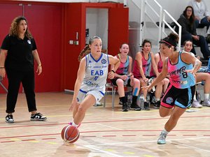 Basket-ball : première balle d'accession chez le dauphin pour l'Élan Aveyron