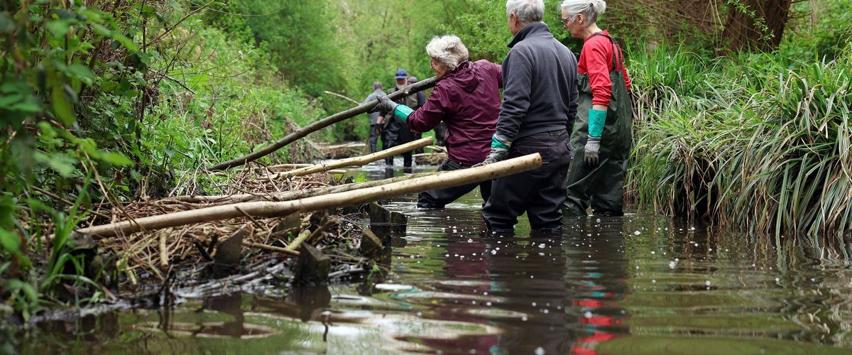 Moins de béton face aux inondations, des localités anglaises tentent une nouvelle approche