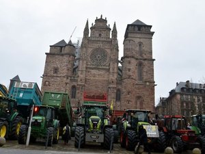 Colère des agriculteurs : 