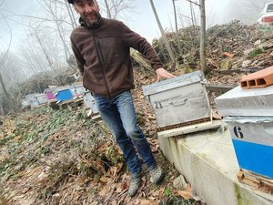 L'Abeille noire du Viaur : les passionnés et les apiculteurs célèbrent en Aveyron ce miel local engagé