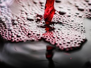 Prudence pour ceux qui comptaient trinquer au vin rouge : une bouteille fait l'objet d'un rappel dans toute la France