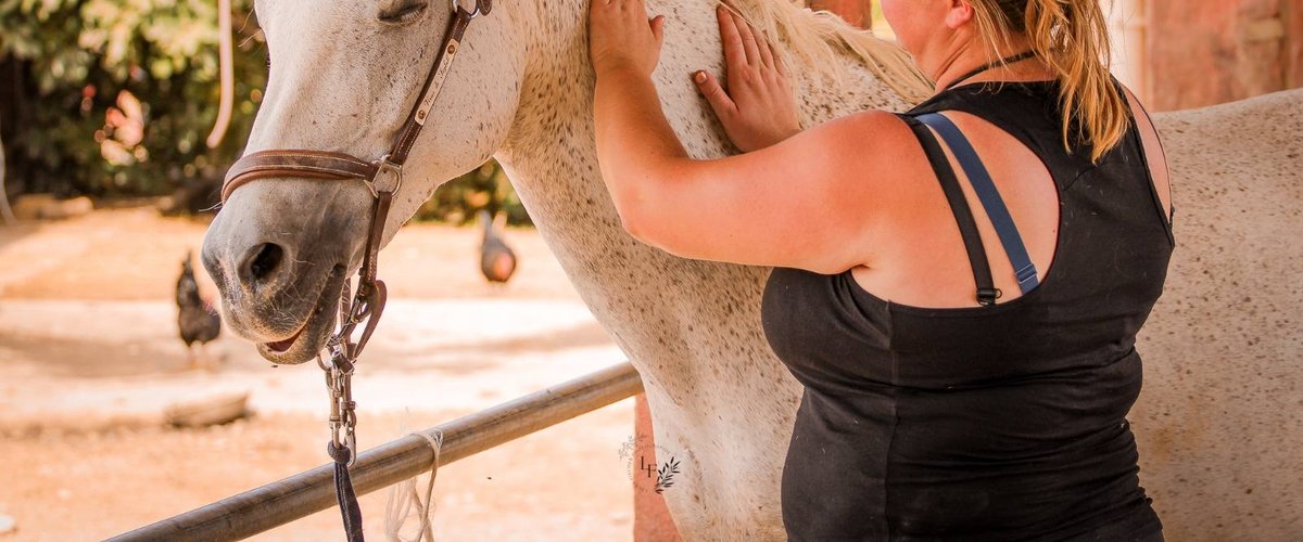 On apprend à détecter les réactions positives ou négatives chez les chevaux : en Aveyron, cette masseuse équin améliore le bien-être des équidés