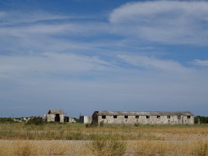 Harkis morts à Rivesaltes : les corps de 60 personnes, dont 52 bébés, jamais retrouvés, des familles portent plainte contre X pour 