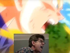VIDÉO. 
