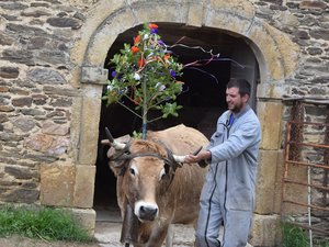 Transhumance : 