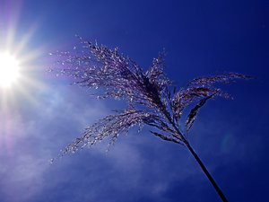 CARTES. Météo : les températures vont grimper à partir de ce mardi 27 mai, jusqu'à un pic de chaleur, mais il ne faut pas attendre le week-end pour en profiter