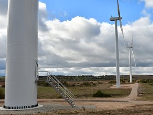 Dans cette commune de l'Aveyron, ces éoliennes ne pourront plus tourner le jour pour protéger le vautour moine, une espèce protégée