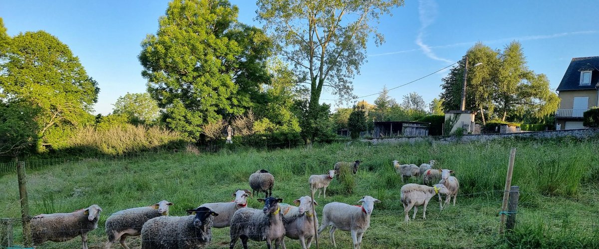 Réquista. Le collège Saint-Louis entre nature et Europe