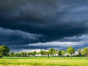 METEO. Après un coup de chaud, rien ne vaut une bonne douche : les orages s'invitent ce week-end, déjà 51 départements en vigilance jaune ce samedi 31 mai