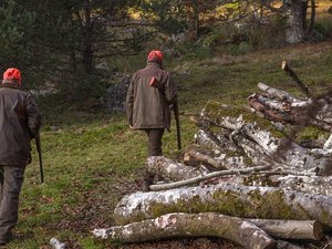La session de chasse nocturne tourne mal : un homme se fait tirer dessus par son collègue de 76 ans et est retrouvé mort dans un champ
