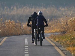 Le GPS leur indique de prendre l'autoroute à vélo, un couple de cyclistes intercepté juste à temps par un gendarme