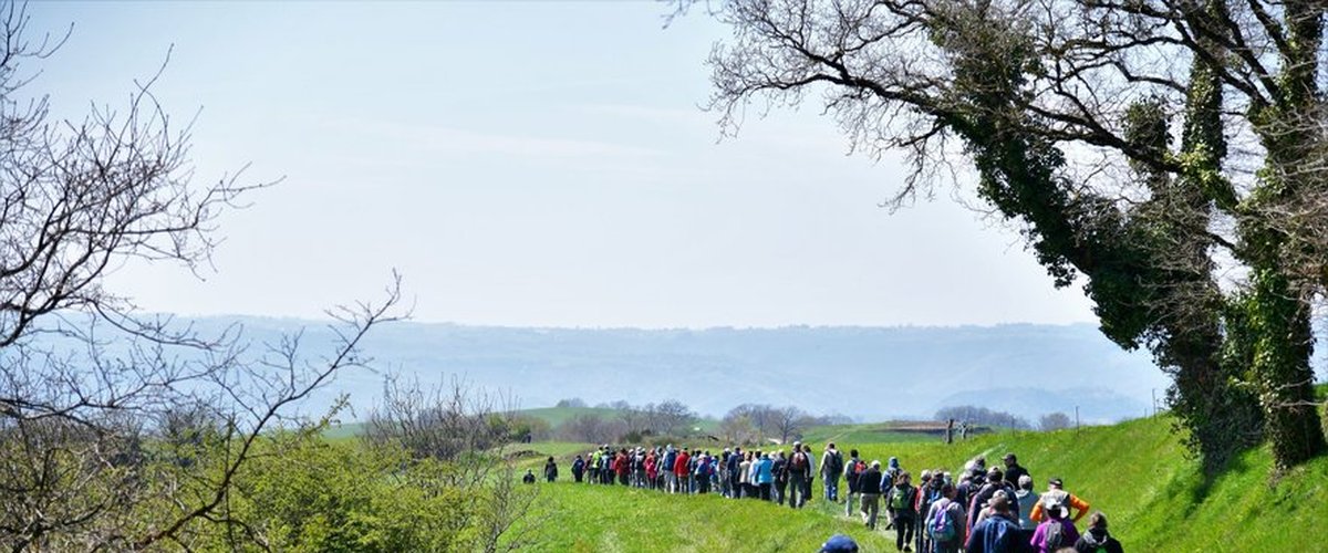 Decazeville. Une randonnée sur les hauteurs de Firmi depuis Fonteilles