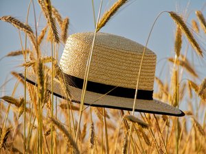 Des températures supérieures de 10°C aux normales : où a-t-il fait le plus chaud en Aveyron, mercredi ?