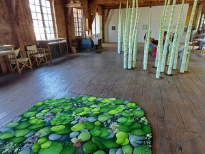 La Menuiserie de Rodez entre science et poésie avec Mousses et lichens