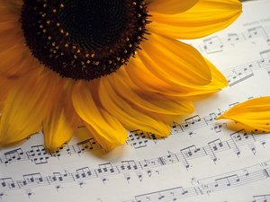 MÉTÉO. Canicule : vers la Fête de la Musique la plus chaude jamais observée, on pourrait atteindre les 40 °C ce week-end