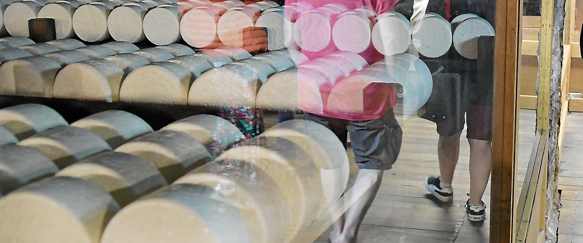 À 100 ans, Roquefort s’offre une confrérie pour défendre son goût, son histoire et ses racines occitanes