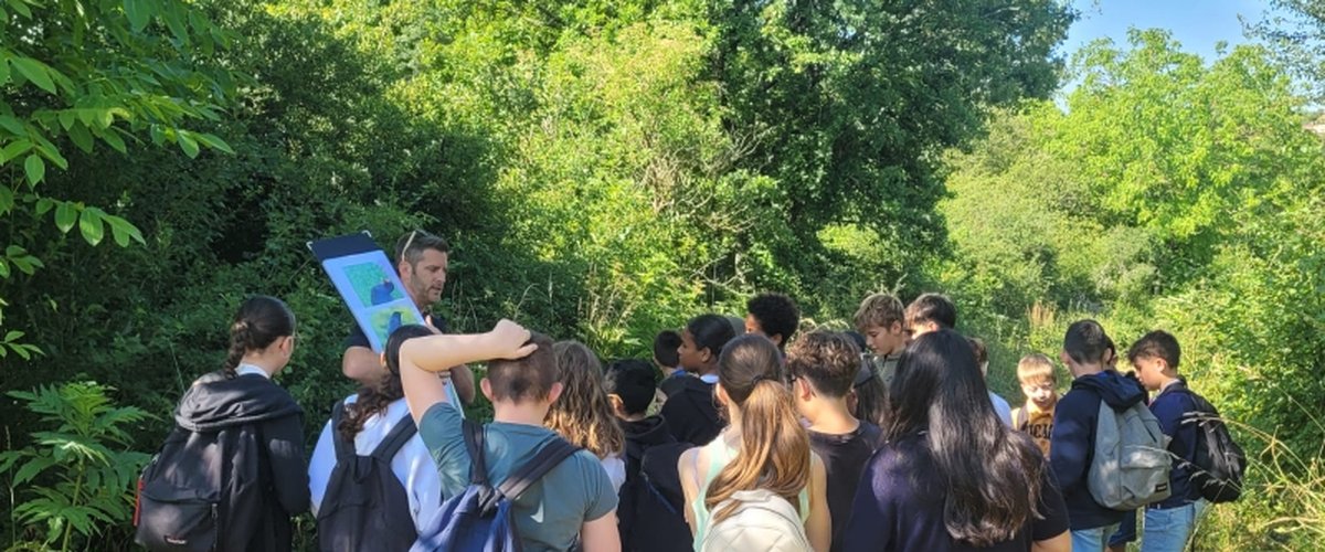 Villefranche-de-Rouergue. Les collégiens de Saint-Joseph explorent un marais