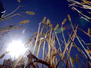 MÉTÉO. Vague de chaleur en Aveyron : jusqu'à 36,5 °C au pic de la canicule, voici où il a fait le plus chaud dans le département