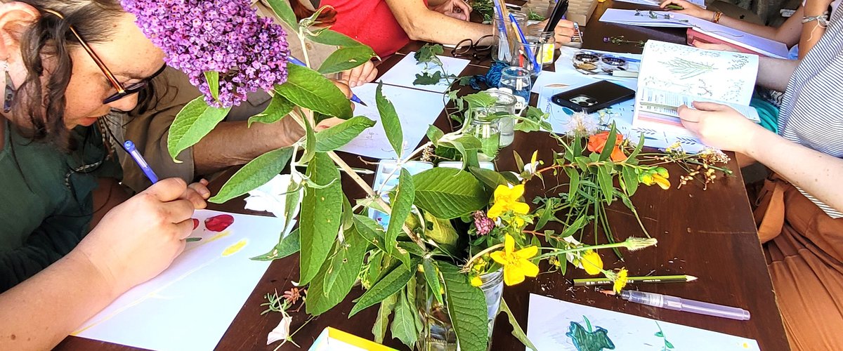 Saint-Saturnin-de-Lenne. Un atelier de dessin naturaliste très suivi