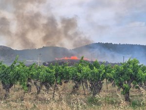 Coup de chaud sur le bassin méditerranéen, des doubles vigilances orange pour la canicule et les feux de forêt