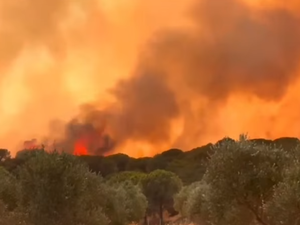 En vigilance orange canicule et risque d'incendies, 5 départs de feu dans ce département d'Occitanie, un camping évacué, une autoroute bloquée