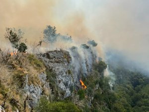 La foudre frappe une commune du Lot et provoque un incendie : 77 hectares détruits par les flammes, les pompiers engagés toute la nuit