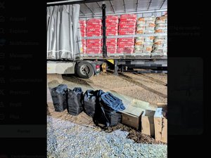 Le chien des douaniers marque un chargement de croquettes, son flair le conduit sur 127 kilos de cocaïne cachés dans un poids lourd