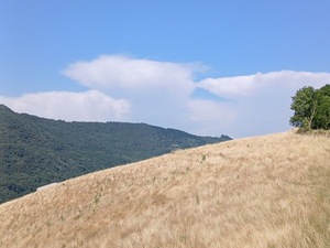 CARTES. Météo : moins 7 degrés au moins entre le samedi 5 et le dimanche 6 juillet, l'Aveyron va retrouver des températures agréables