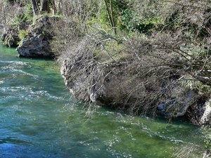 Des cyanobactéries identifiées dans le Tarn et la Dourbie : les deux cours d'eau sous étroite surveillance