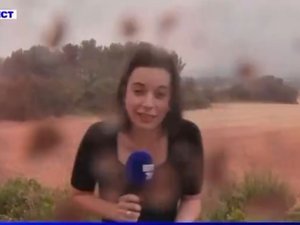 VIDEO. 
