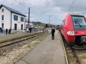 Après avoir été menacé de fermeture, comment le train de l'Aubrac se réinvente pour trouver sa voie
