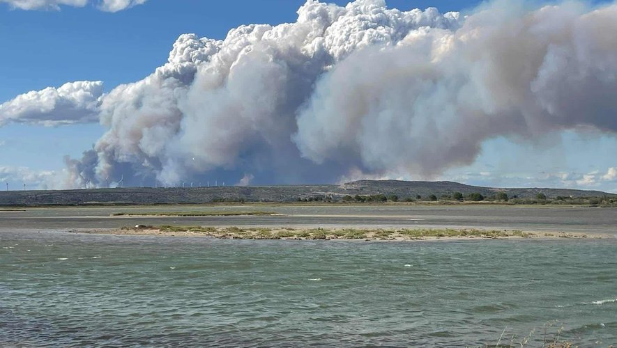 VIDEOS. 1 500 hectares ont brûlé dans l’Aude : c’est quoi ce ...
