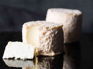 Comment les fromages au lait cru peuvent avoir les mêmes conséquences sur la santé que des piqûres de tiques ?