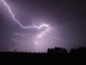 VIDEO. Météo : des coupures d'électricité, un palmier qui s'enflamme, des stations-service fermées, les dégâts collatéraux provoqués par la foudre
