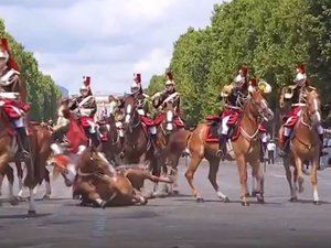 VIDEO. Un cavalier qui chute, un aspirant officier qui se blesse à l'oreille avec son sabre... Les petits couacs du défilé du 14-Juillet