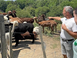 Votre été en Aveyron : 