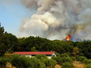 CARTE. Météo : attention au risque incendie très sévère dans le Sud de la France ce dimanche en raison du vent, l'Occitanie concernée