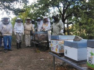 Les apiculteurs au chevet des abeilles et en lutte contre les varroas, dans cette commune de l'Aveyron