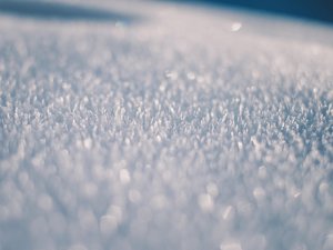 Ses chiens lui ont sauvé la vie : piégé par une tempête de neige, un homme s'en sort miraculeusement grâce à ses fidèles compagnons