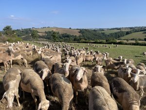 Votre été en Aveyron : 