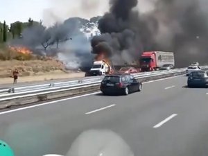 Incendie au bord de l'A9 : un véhicule s'embrase, les flammes se propagent à la végétation le long de l'autoroute