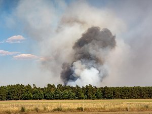 Risque de feux de forêt : un département en alerte rouge, cinq en orange et six en jaune, prudence en Occitanie ce mardi
