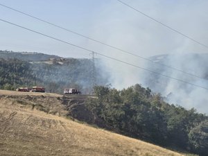 Incendie à Aubin dans l'Aveyron : 40 pompiers et un Dash engagés sur un feu de végétation près d'une ligne à haute tension
