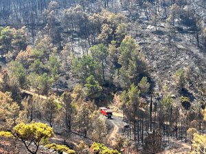 Incendie géant de l'Aude : le feu est fixé mais 1 500 pompiers sont en surveillance, bilan d'un mort et 24 blessés, le point sur la situation