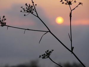 CARTES. Météo : quelles vigilances dans l'Hexagone et quel temps en Aveyron ce jeudi ?