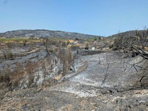 Incendie géant dans l'Aude : 8 millions d'euros d'aide aux agriculteurs sinistrés