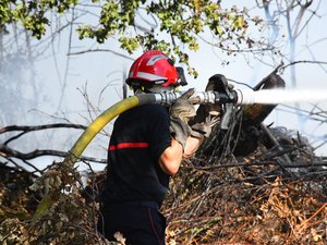 L'Alpine de la gendarmerie s'embrase sur l'A7 et provoque un début d'incendie