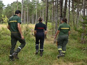 Face aux risques d'incendie dans le Sud-Aveyron, des patrouilles sillonnent les forêts