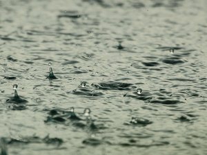 CARTE. Météo : des quantités de pluie allant 